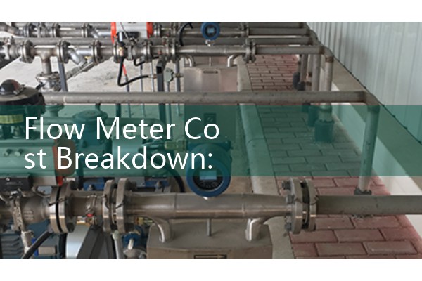 Flow Meter Cost Breakdown: Balancing Initial Sourcing Prices Against Long-Term Maintenance